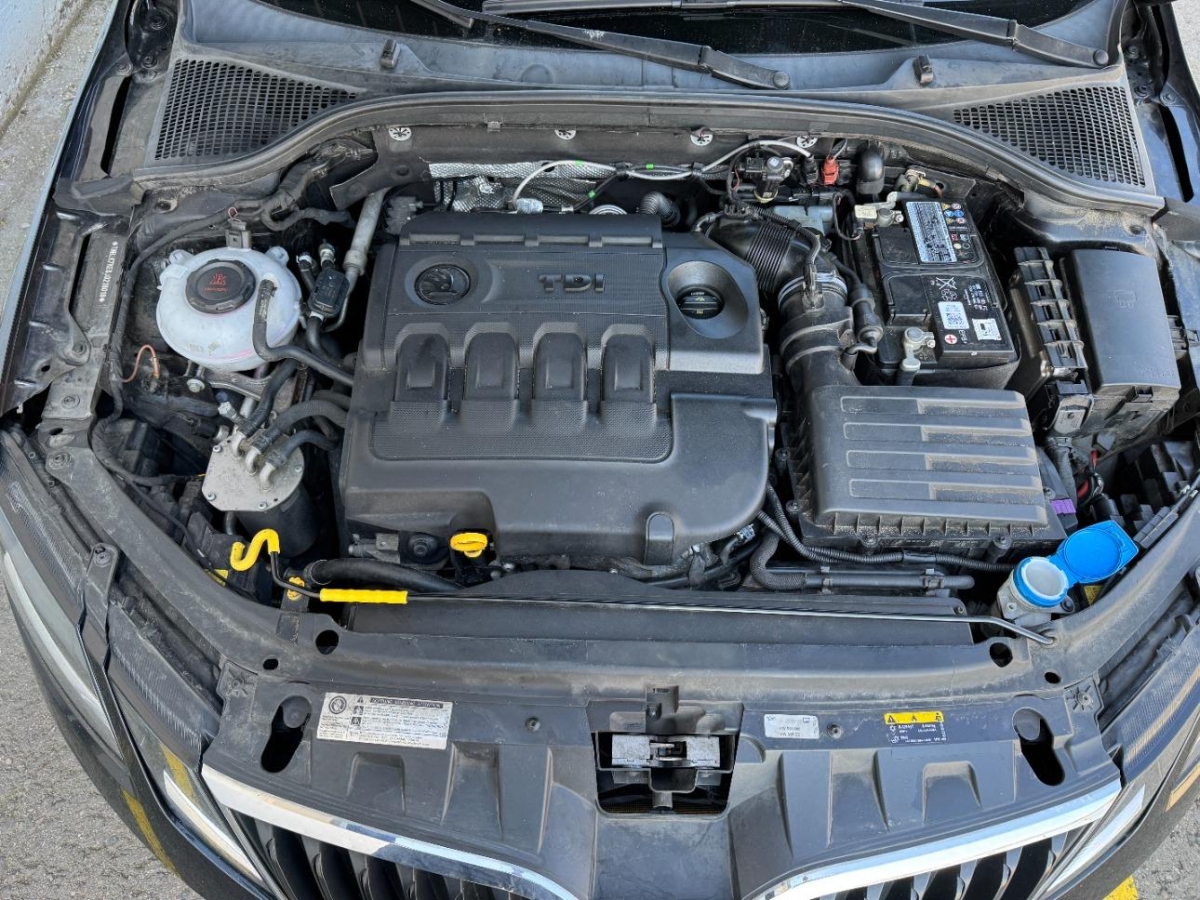 T13