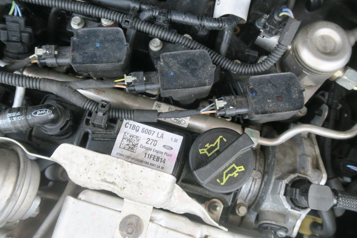 T12