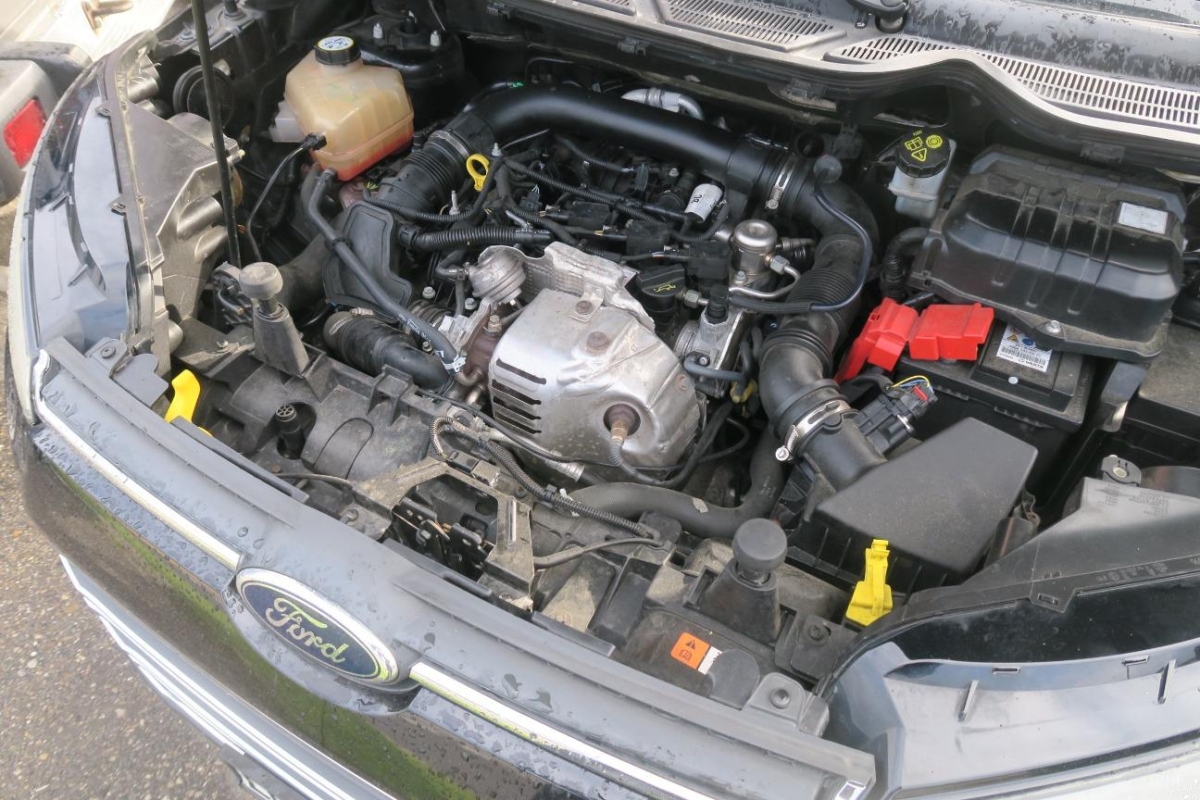 T14