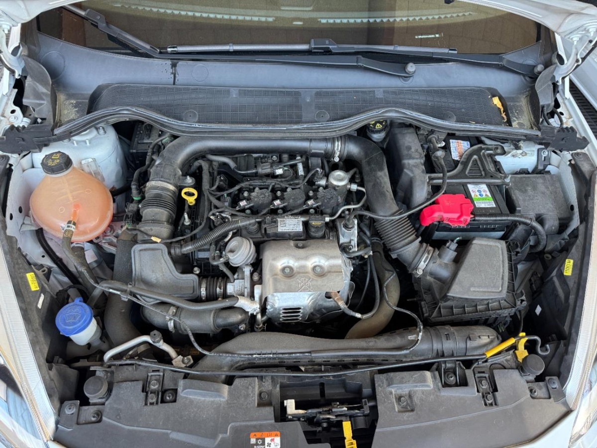 T11
