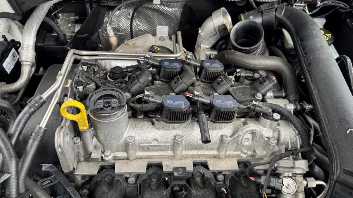 T11