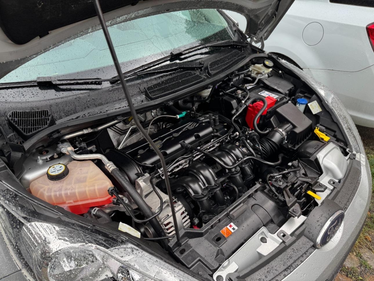 T13