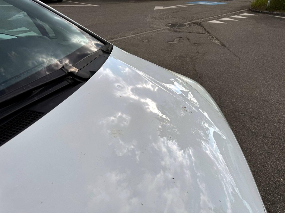 T13