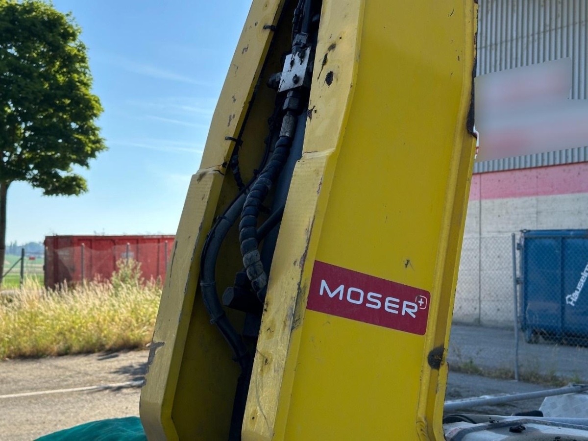 T19