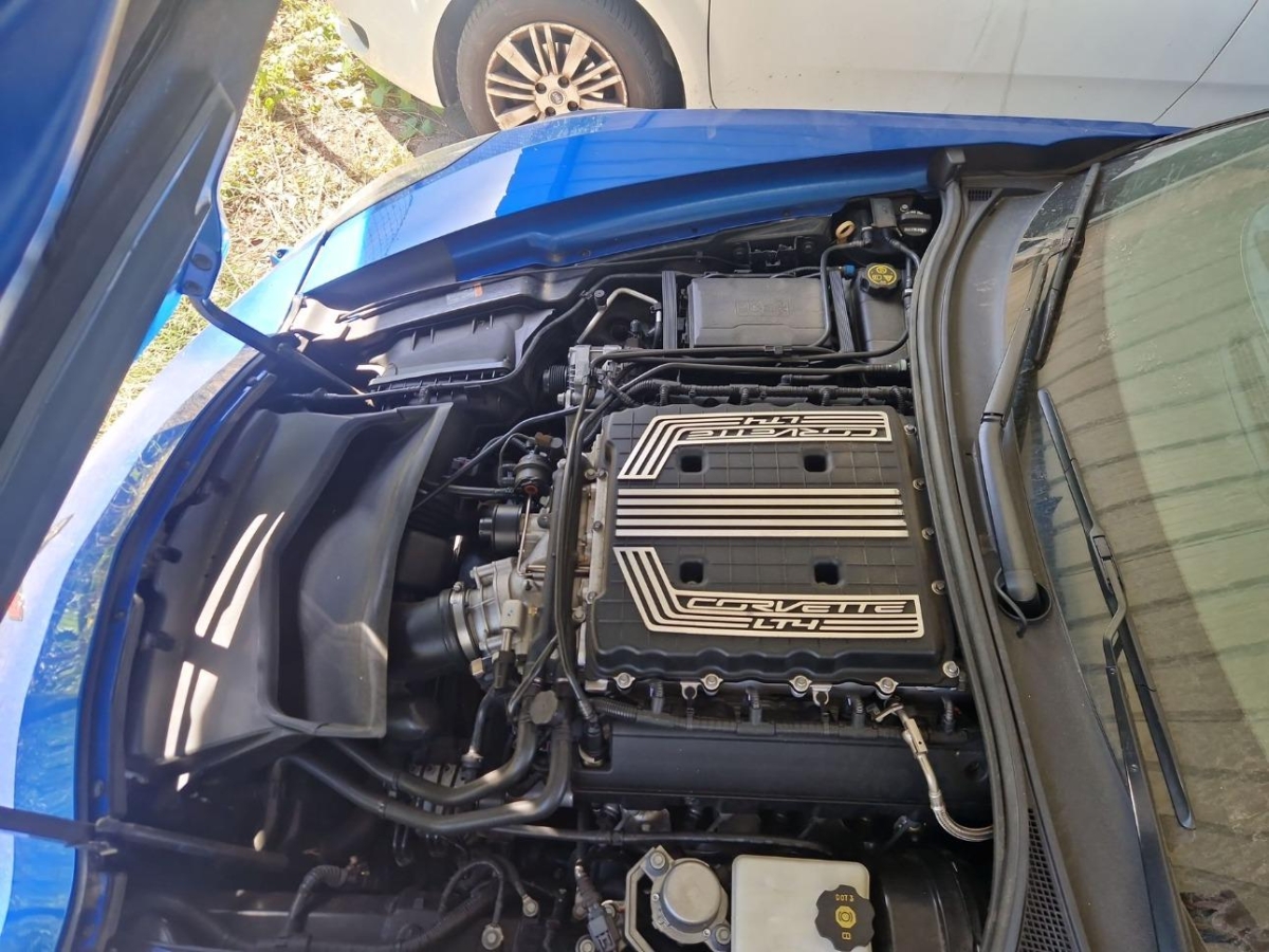 T11