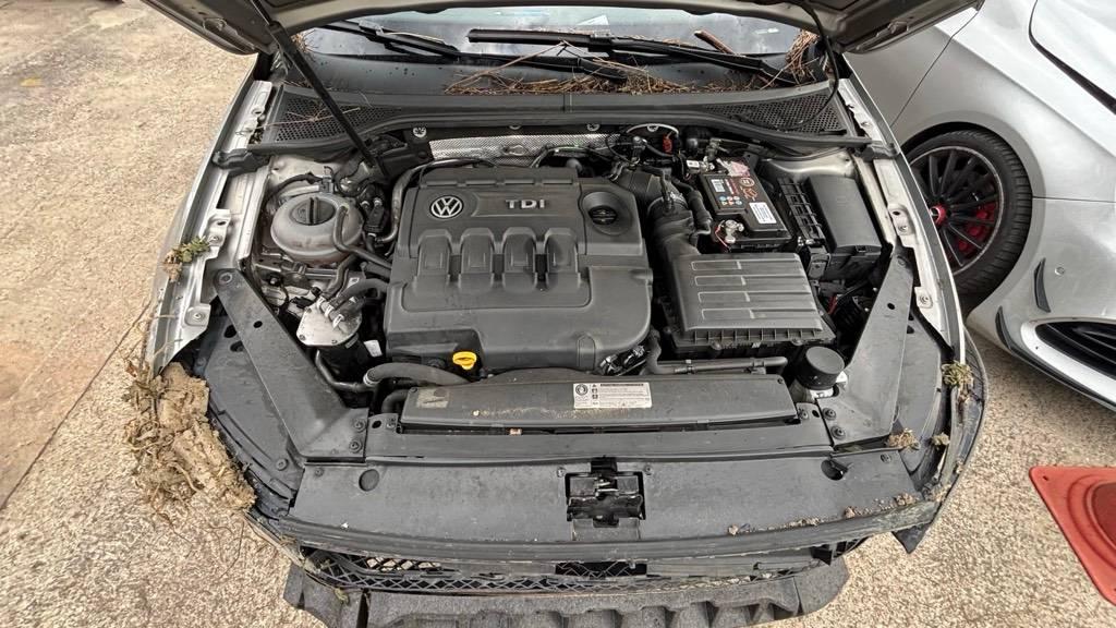 T13