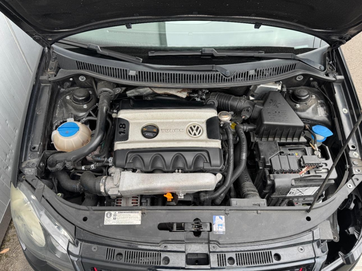 T11