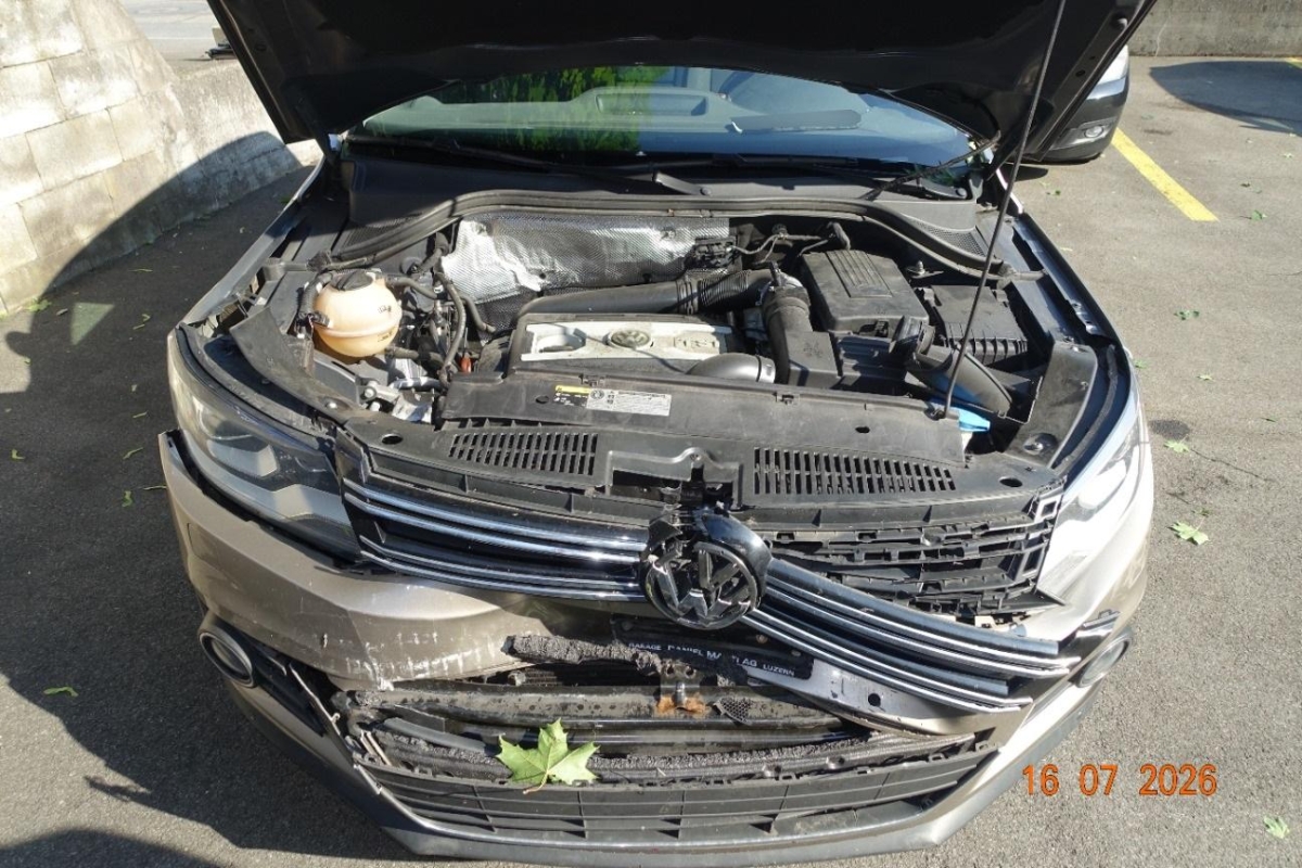 T12