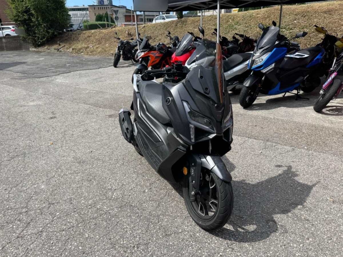 T5