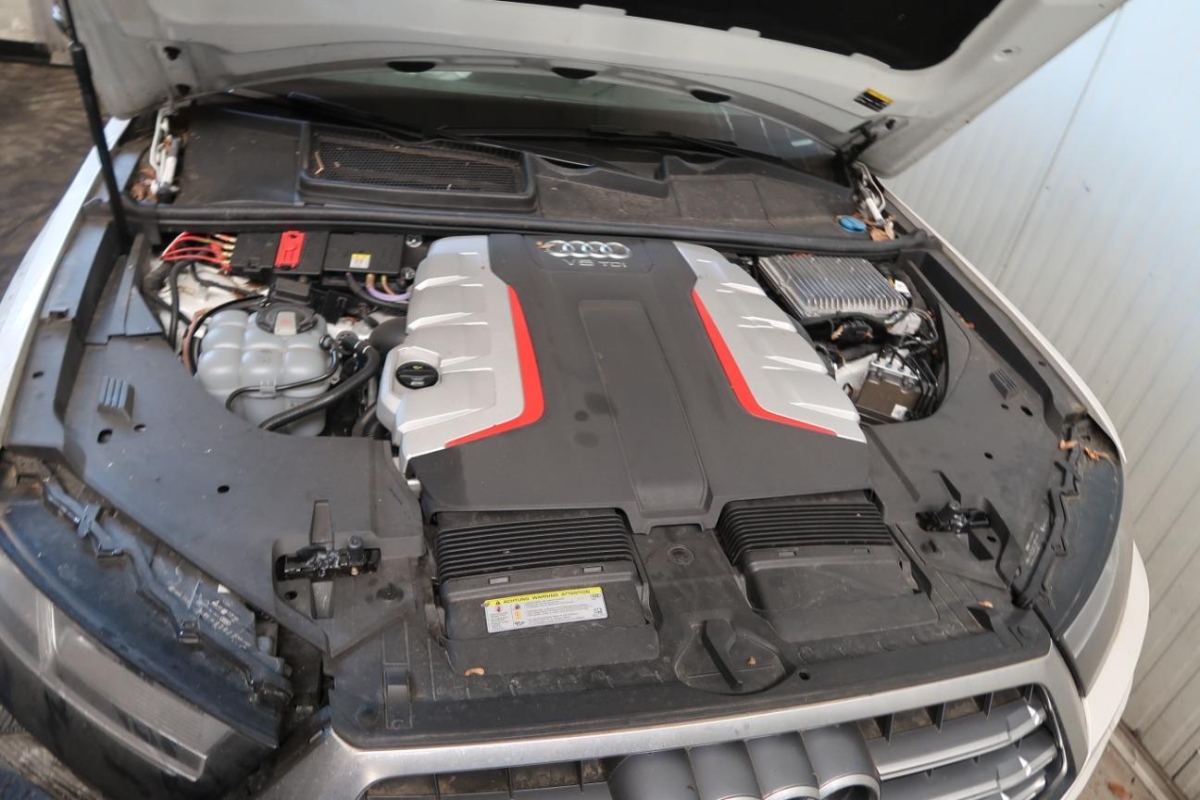 T12