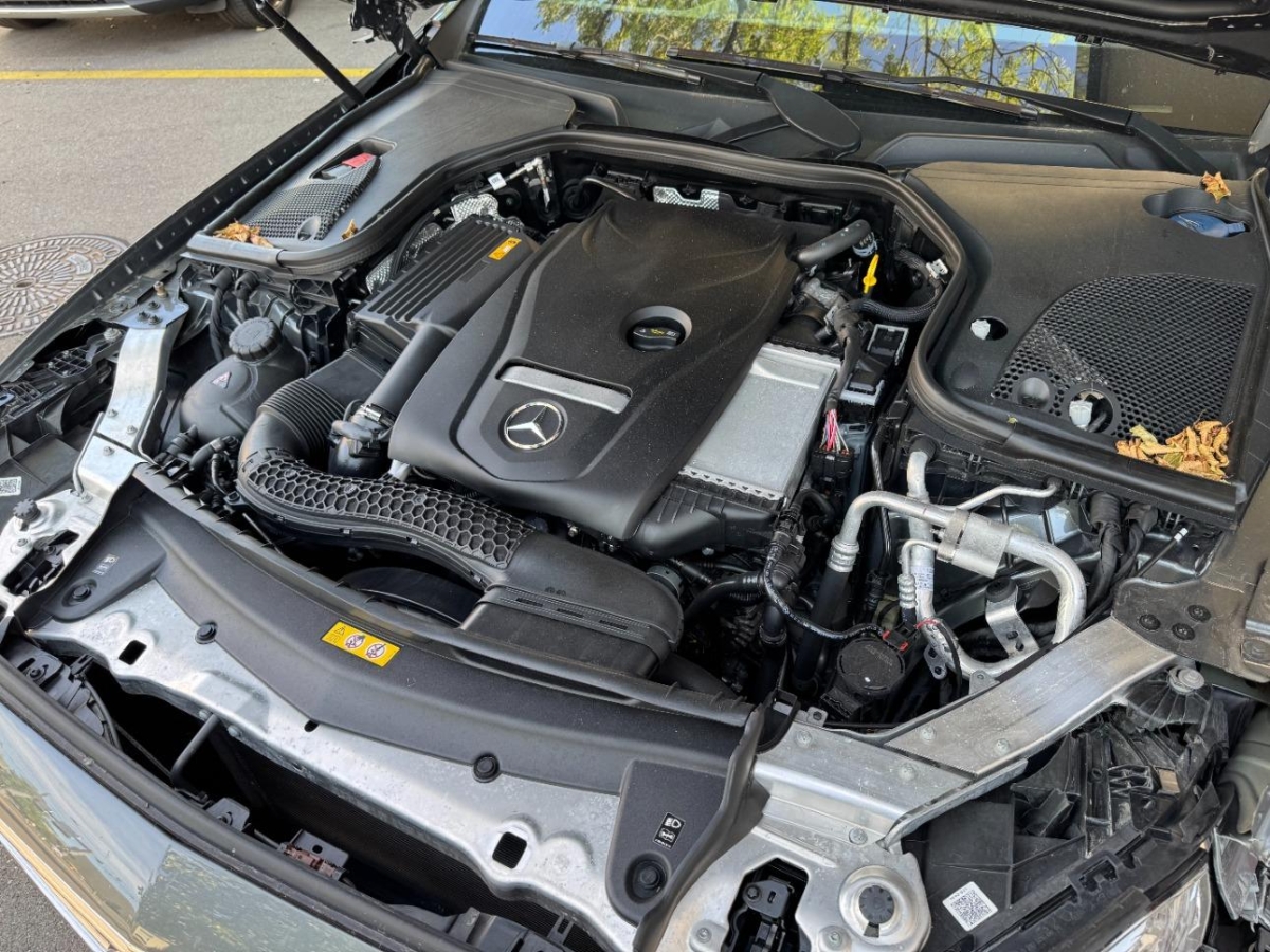 T11