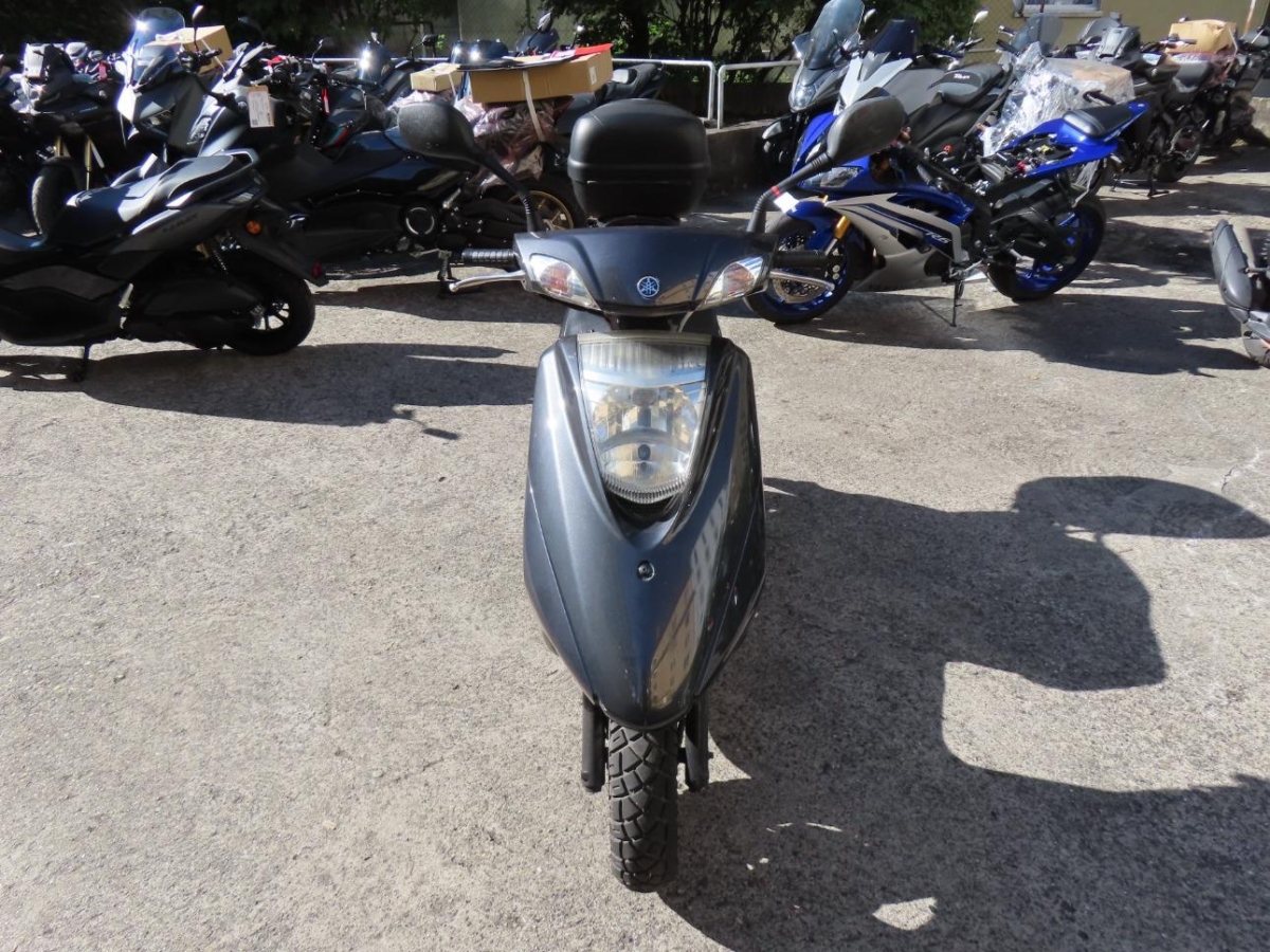 T5
