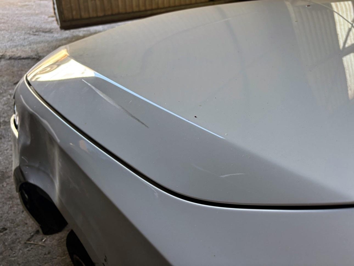 T19