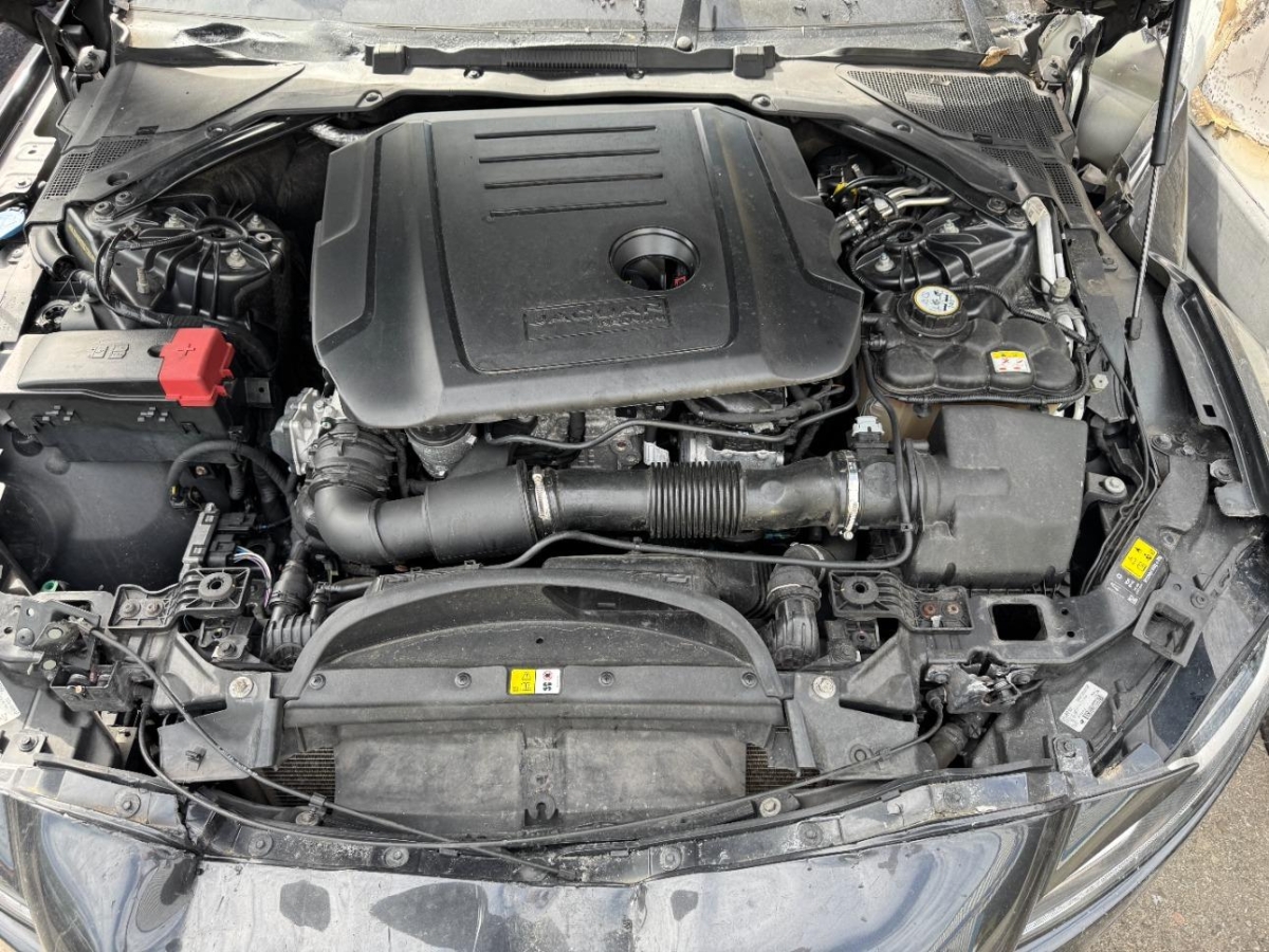 T7