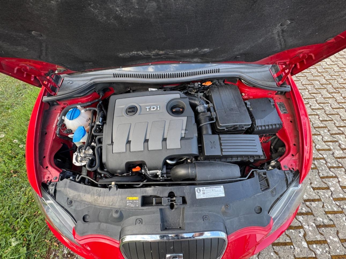 T11