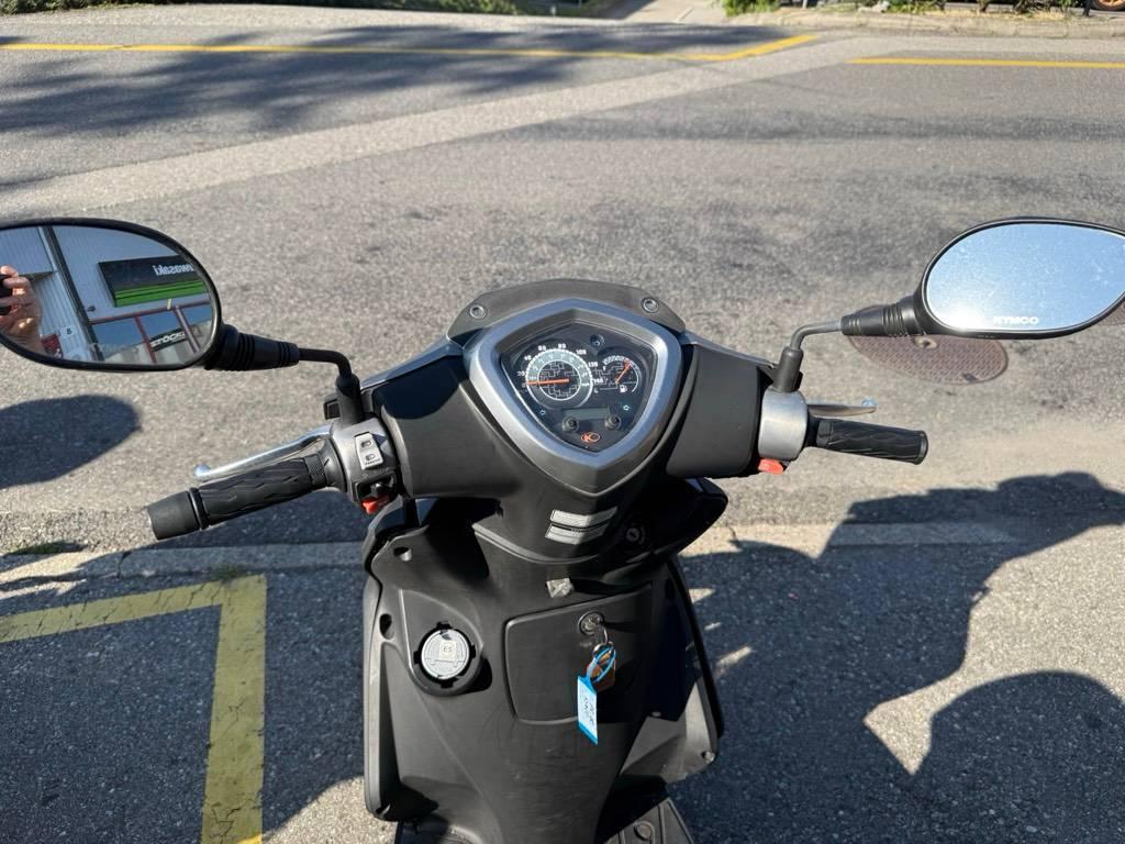 T5