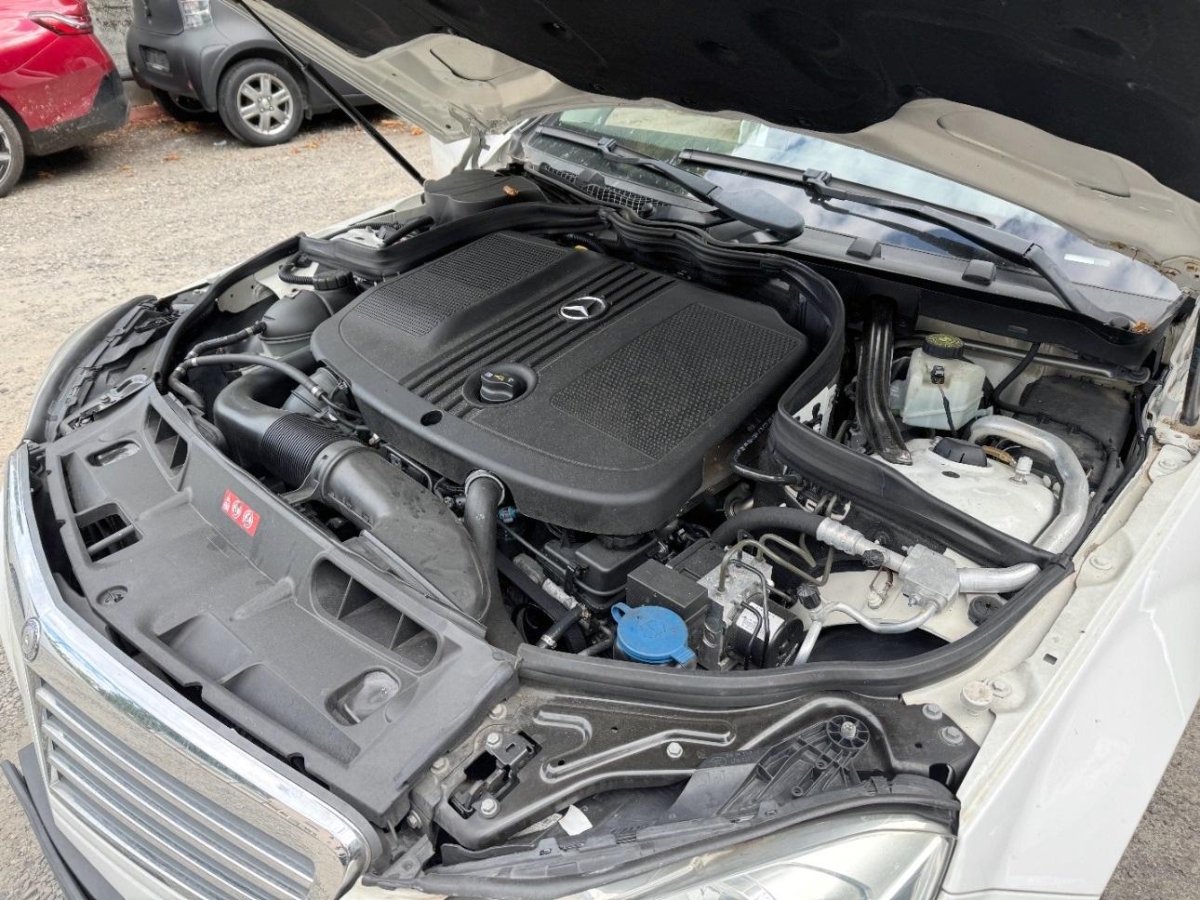 T11