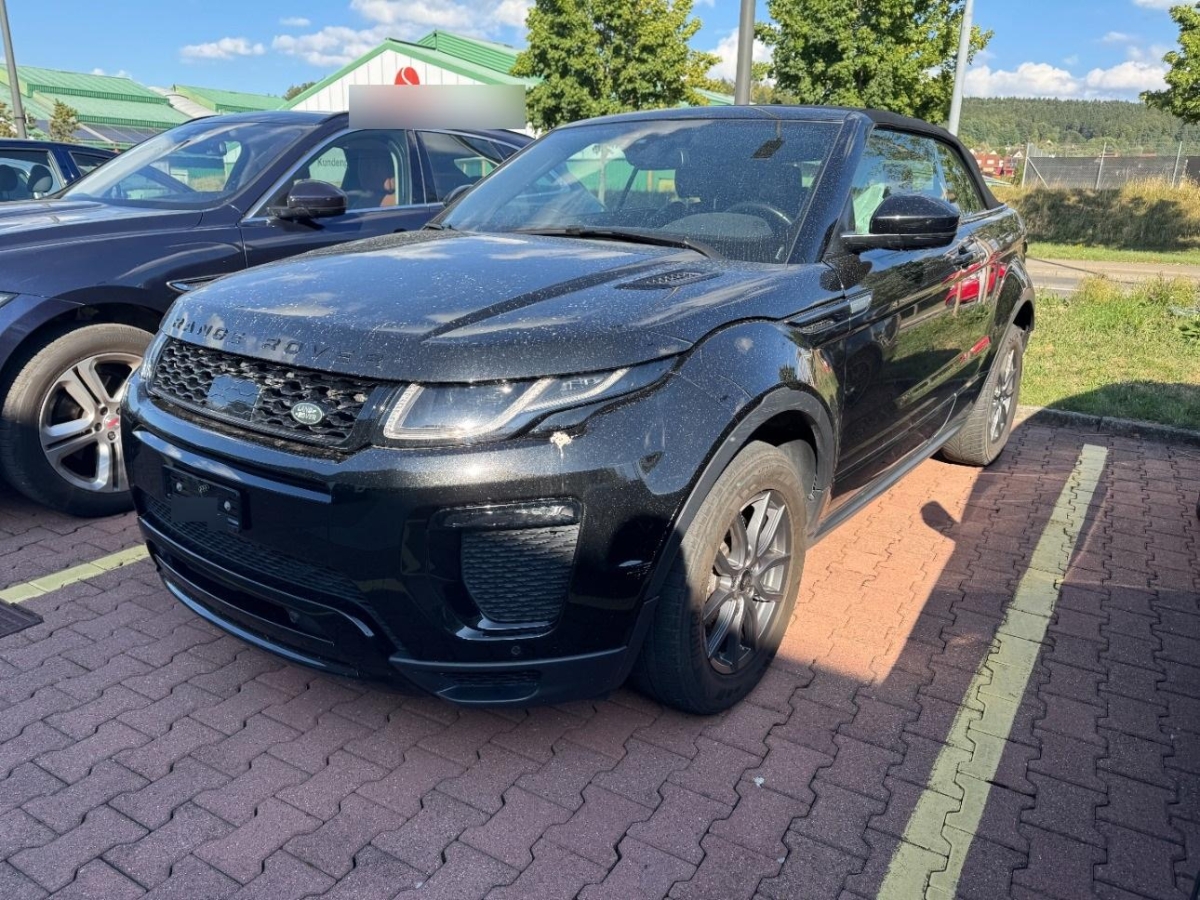 T6