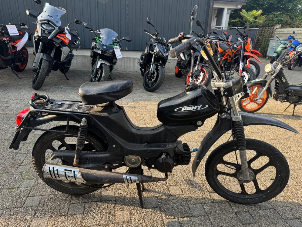 T6