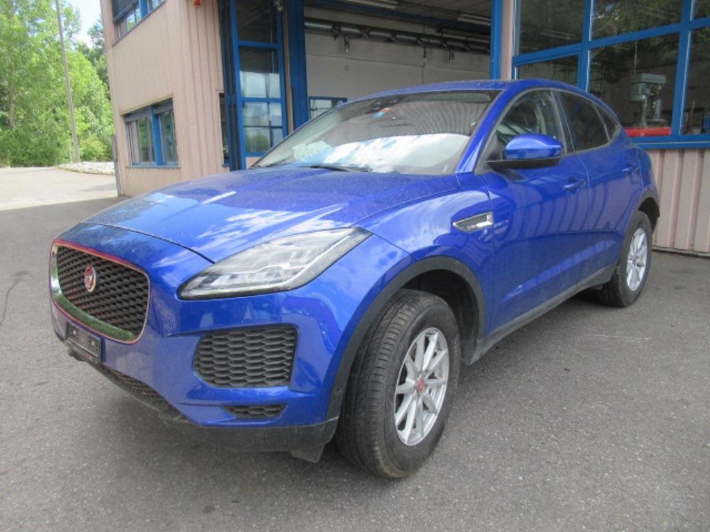 T6