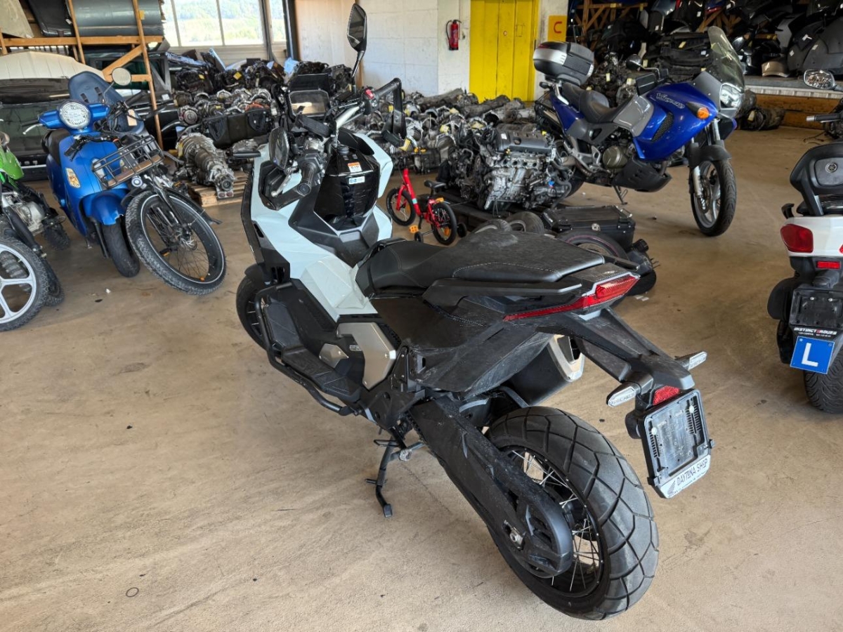 T6