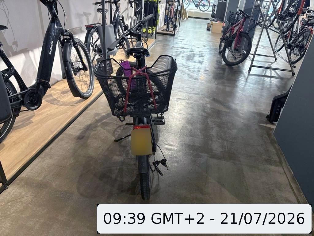 T6
