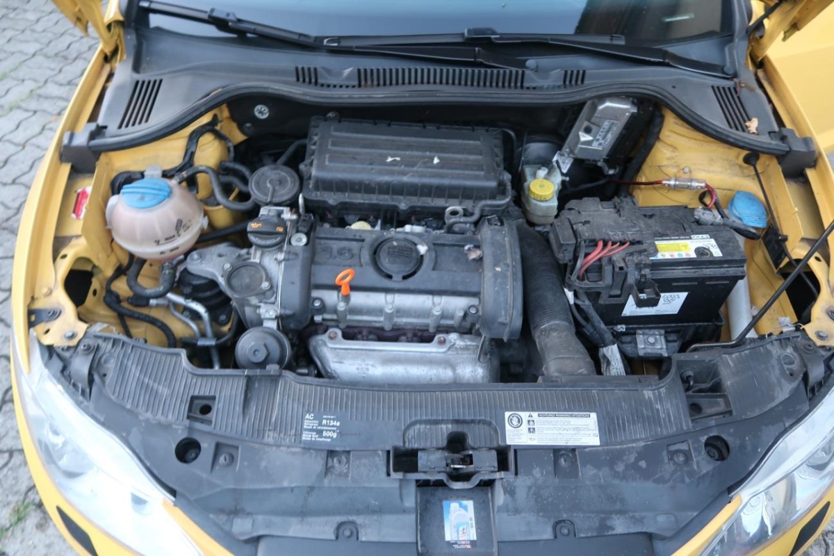 T12