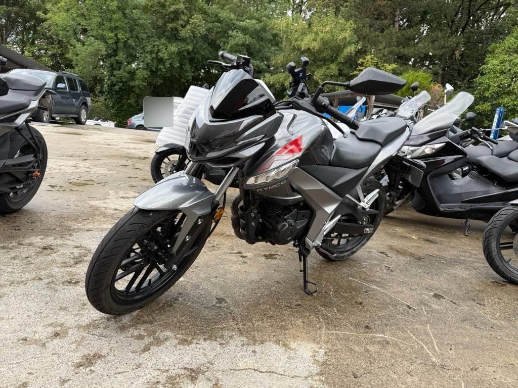 T6