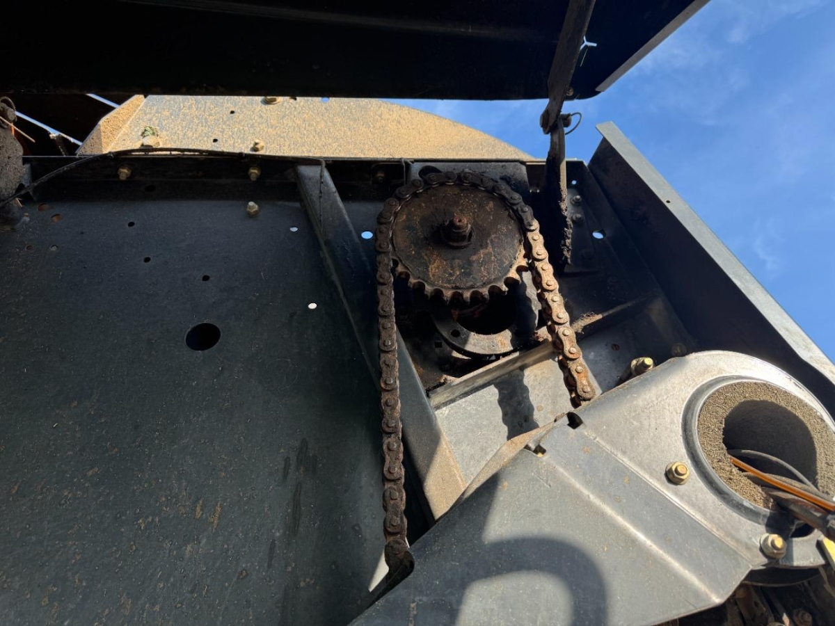 T17