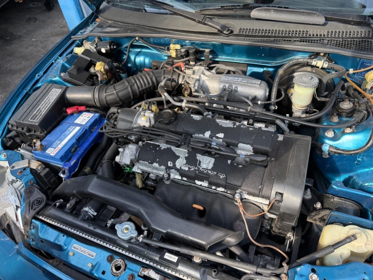 T7