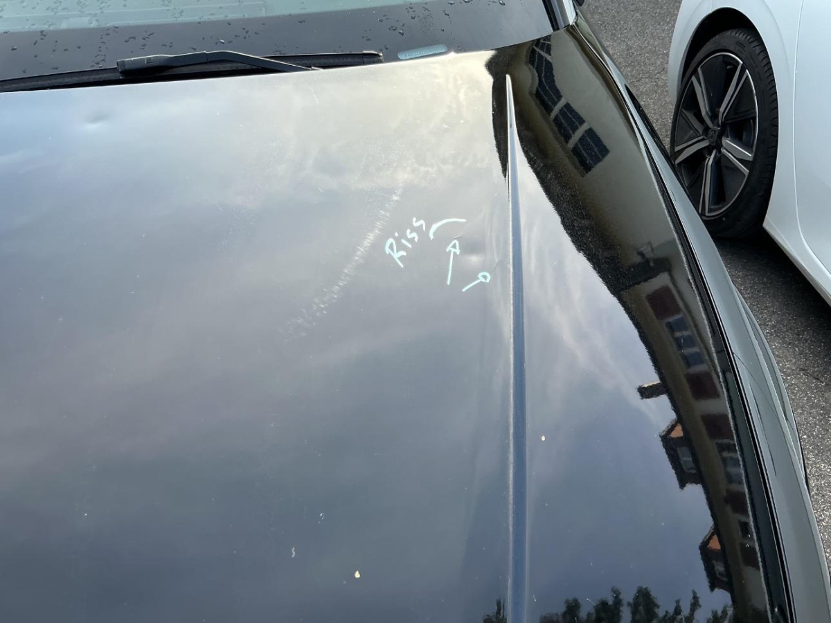 T11