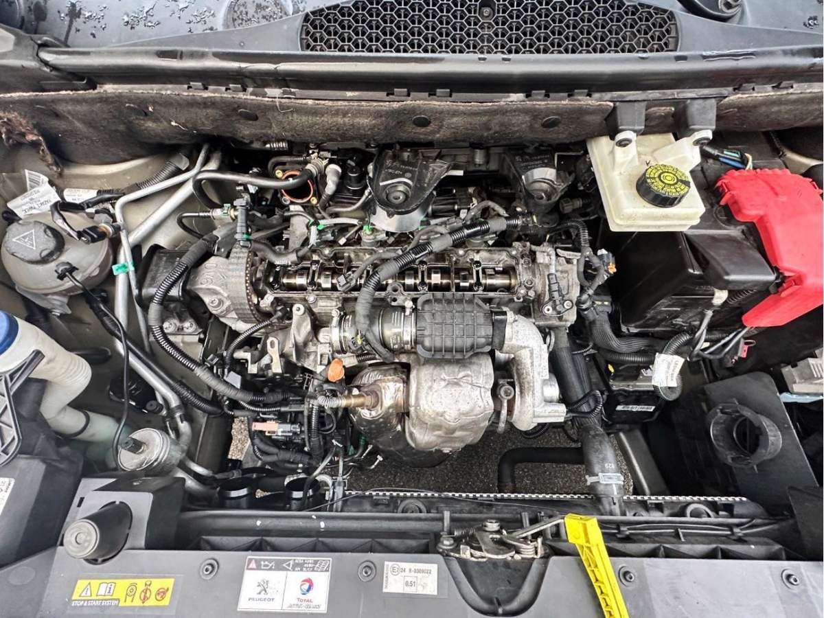 T11