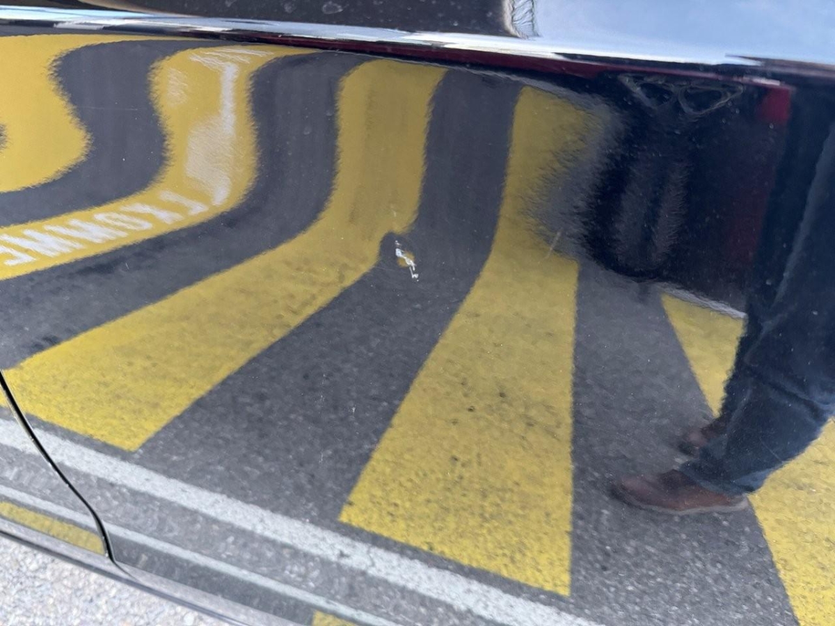 T19