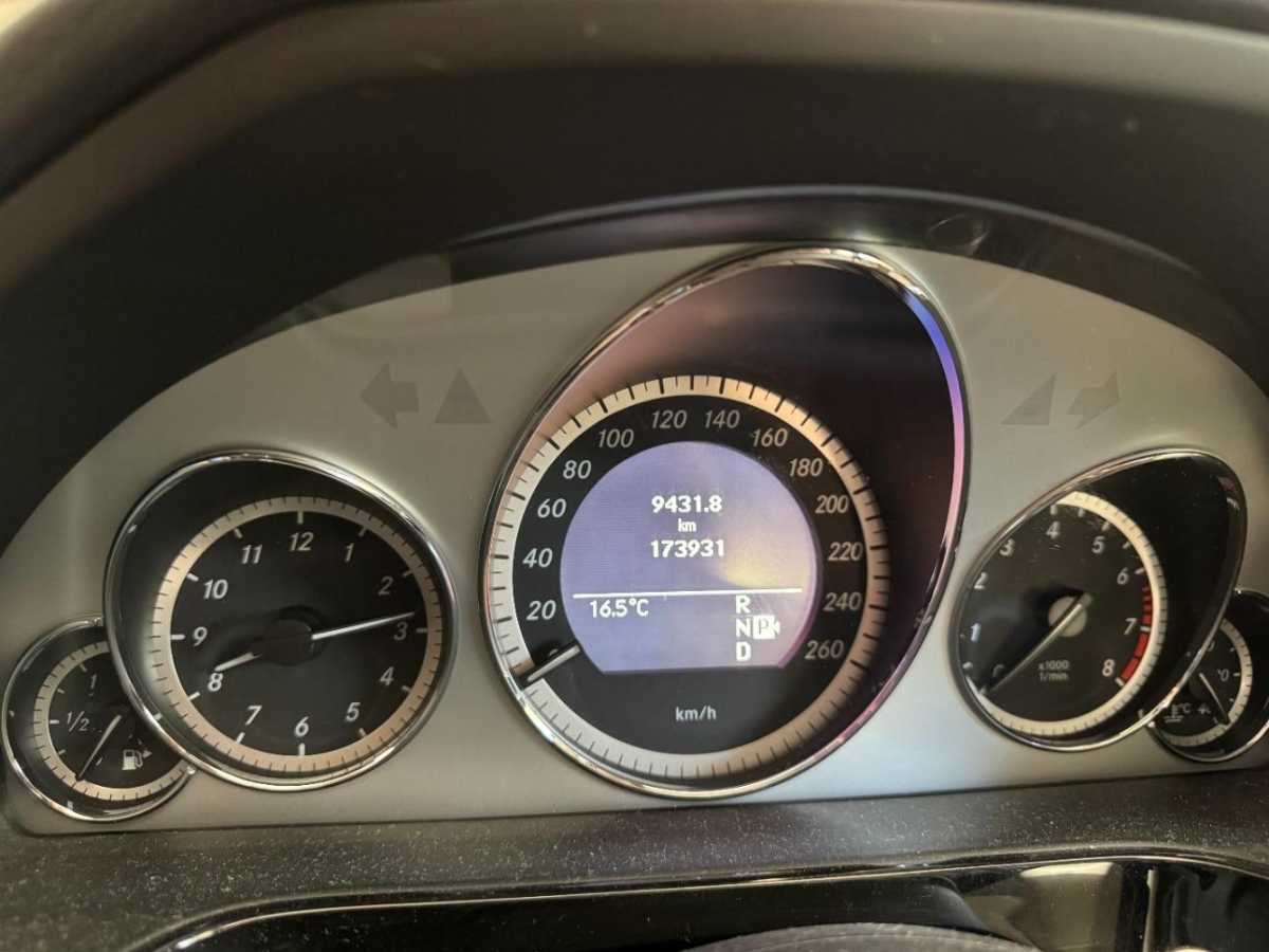 T6
