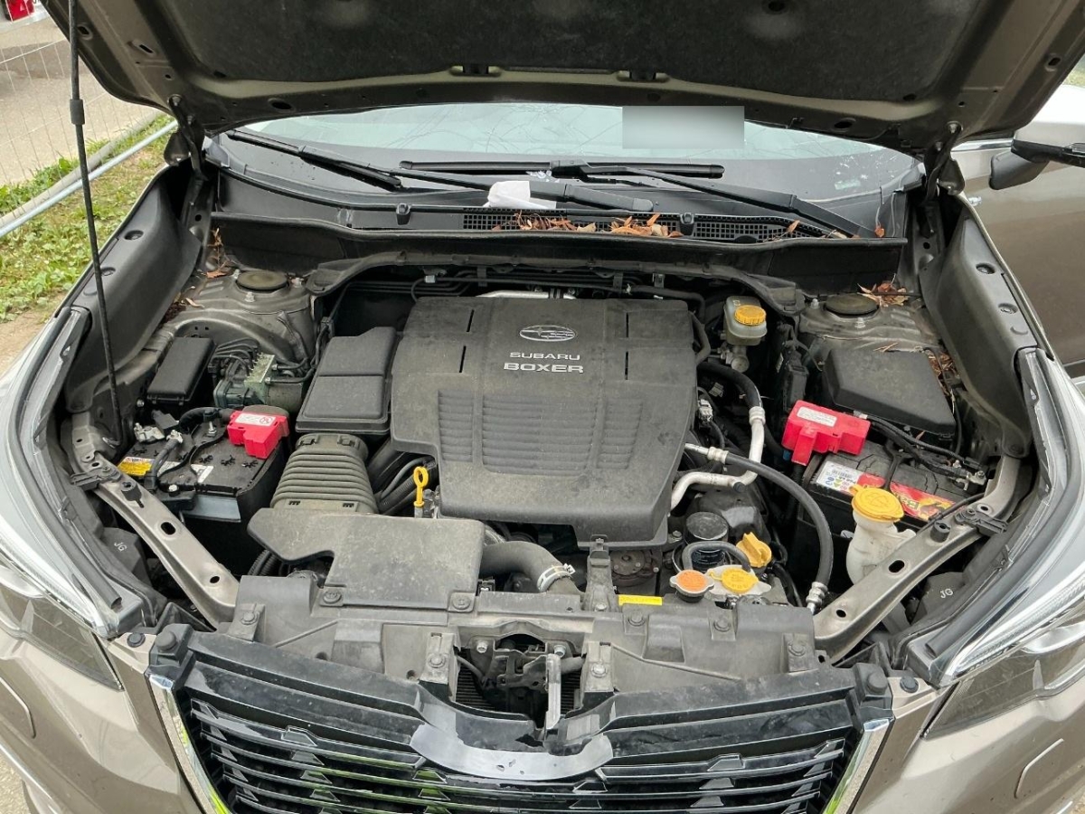 T13